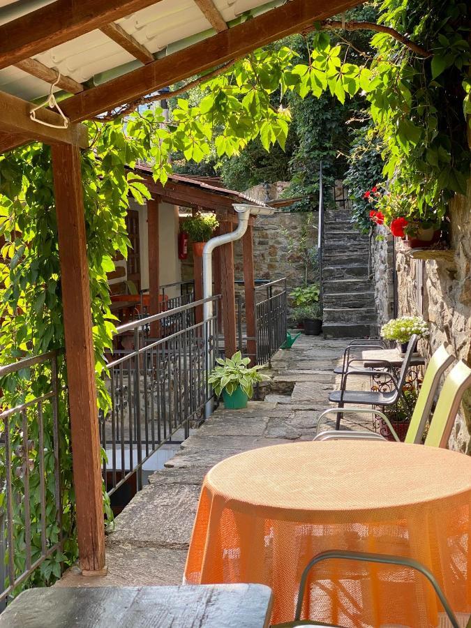 Pension Hamry Vranov nad Dyjí Exterior foto